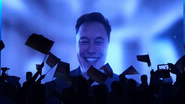 elon-musk-elezioni-germania
