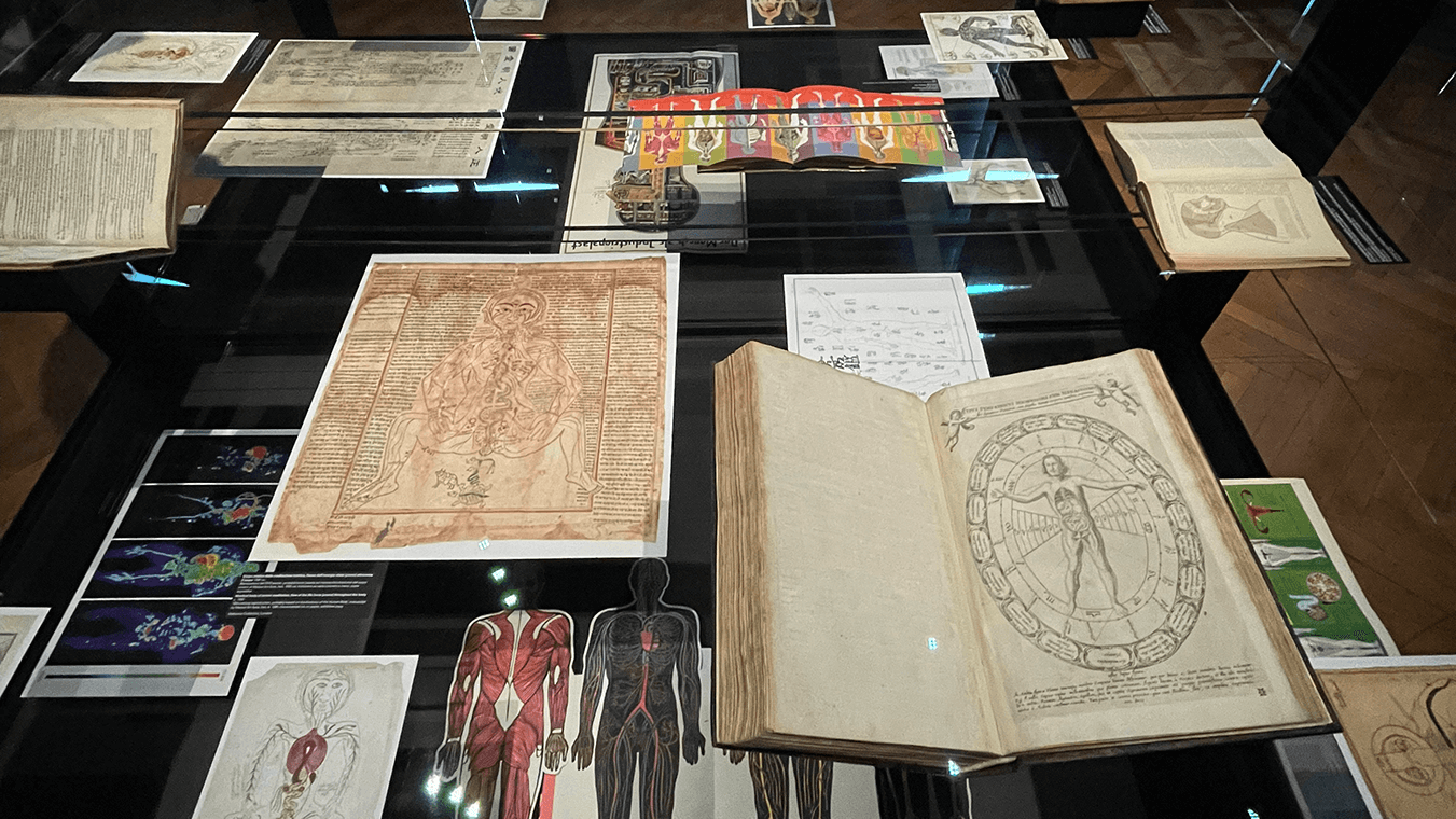 "DIAGRAMS" di AMO/OMA alla Fondazione Prada a Venezia