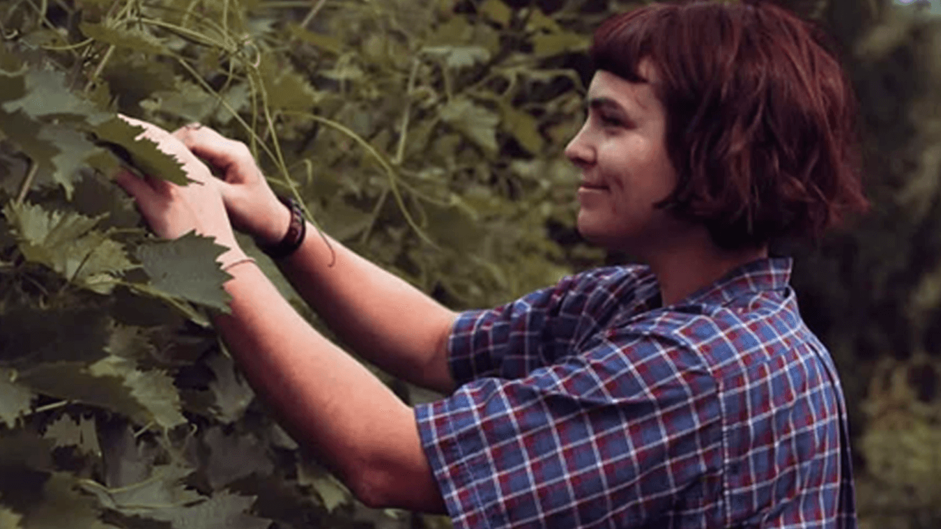 La prima vigna queer d’Italia è LGBTIQ+ e femminista: cosa significa? - Gringhigna LGBT Vino Queer Monferrato - Gay.it