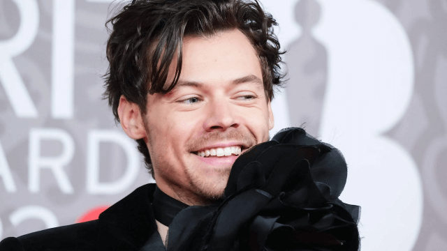 Il nuovo progetto di Harry Styles: sex toys inclusivi per ogni corpo