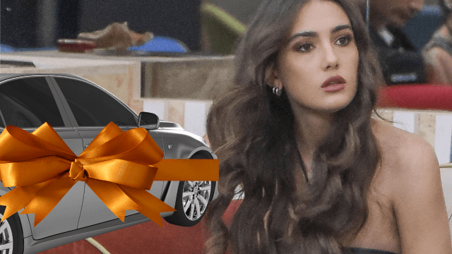 Il fandom di Zeudi Di Palma vuole regalarle un'automobile