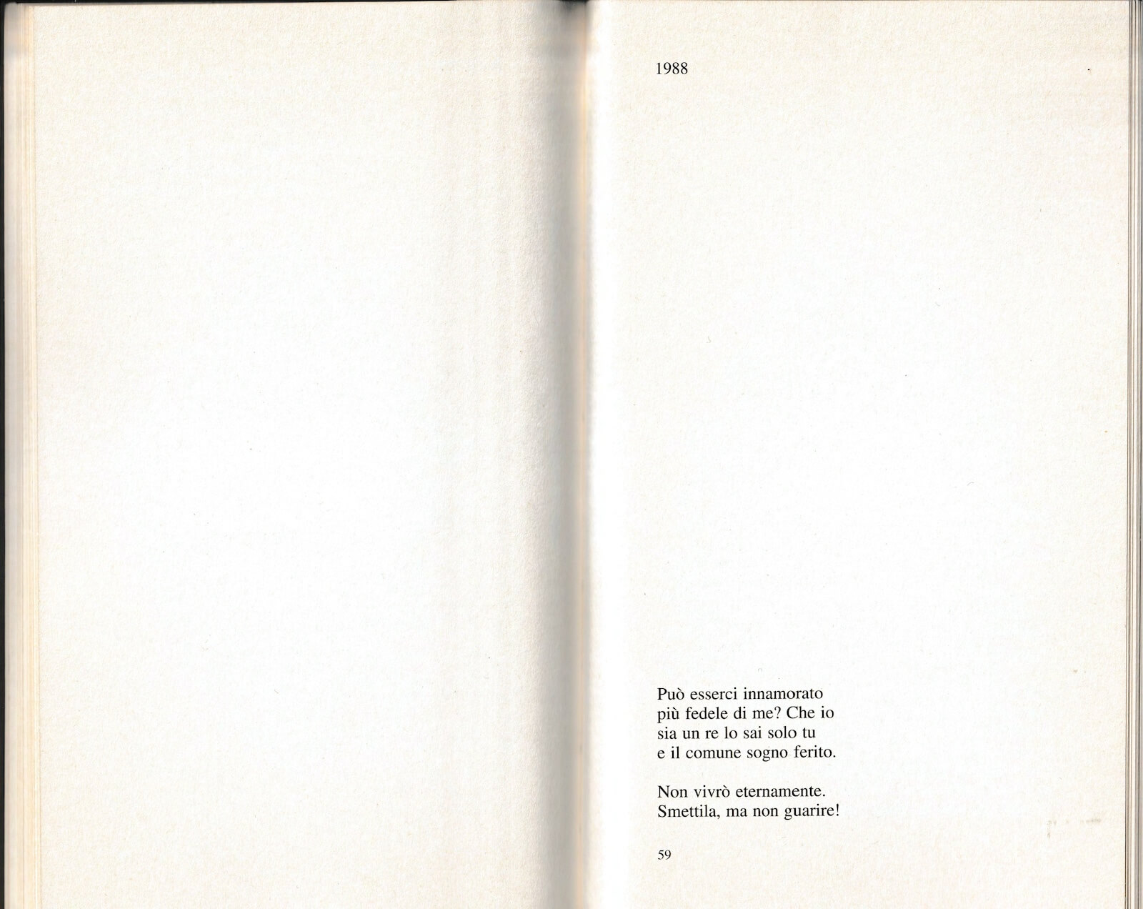 1990 - Bellezza - Libro di poesia