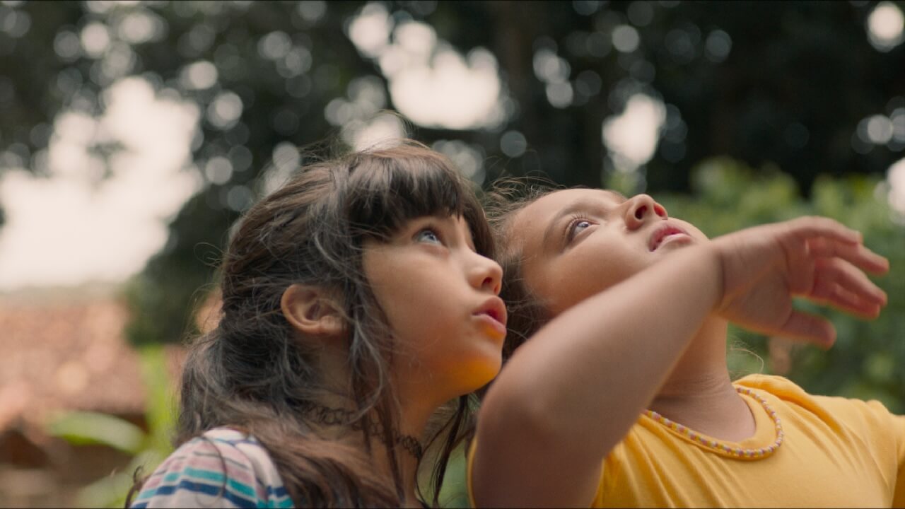 Mix Milano 2025, ecco tutti i film LGBTQIA+ in programma. Paola Iezzi Premio More Love - A natureza das coisas invisiveis 2 - Gay.it
