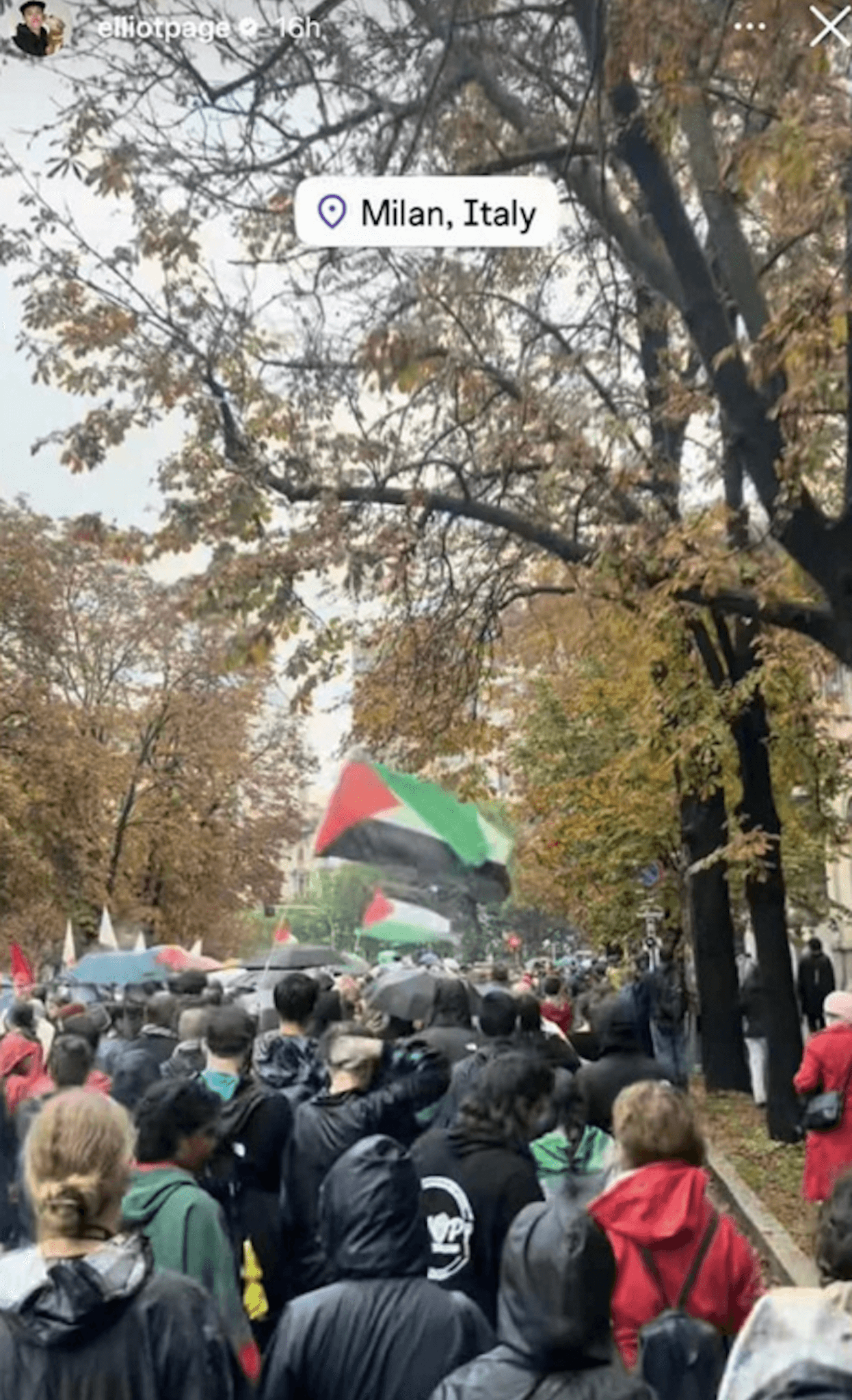 Elliot Page ha preso parte al corteo pro-Palestina di Milano - Elliot Page era allo sciopero pro Palestina di Milano - Gay.it