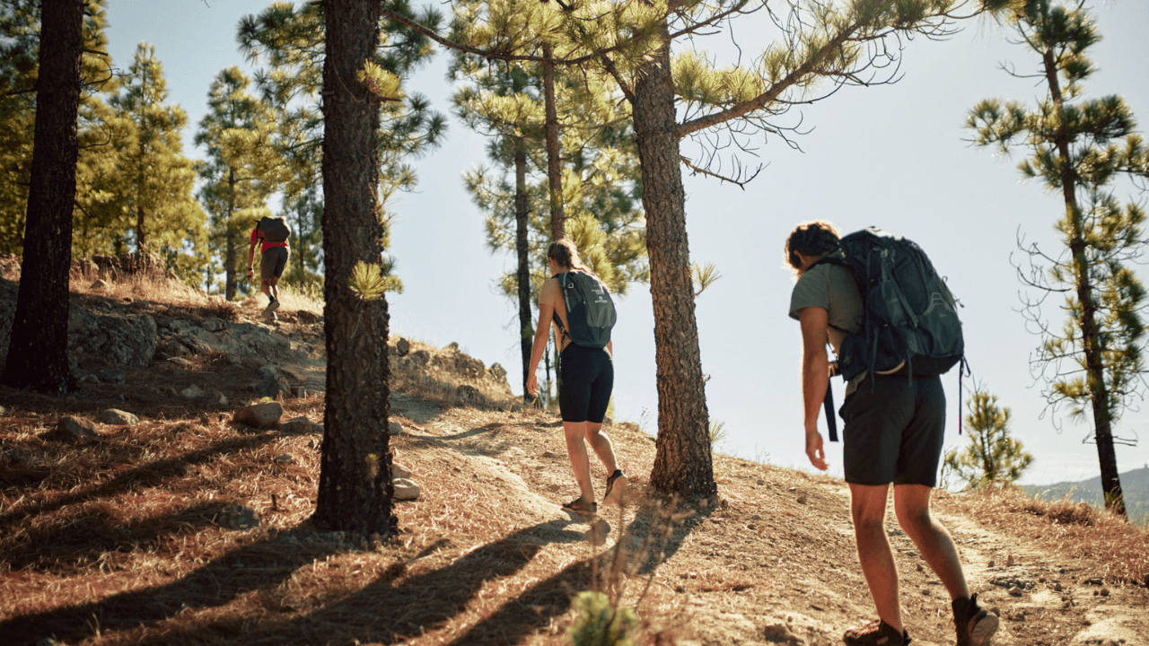 Gran Canaria Walking Festival
