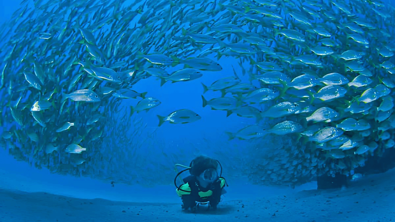 Gran Canaria, tra sport e natura