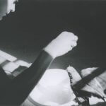 Guibert H_L - oiseau Santa Caterina - Thumbnail