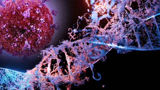 Hiv: cosa sappiamo dell'ipotesi CRISPR per intervenire a livello genetico.