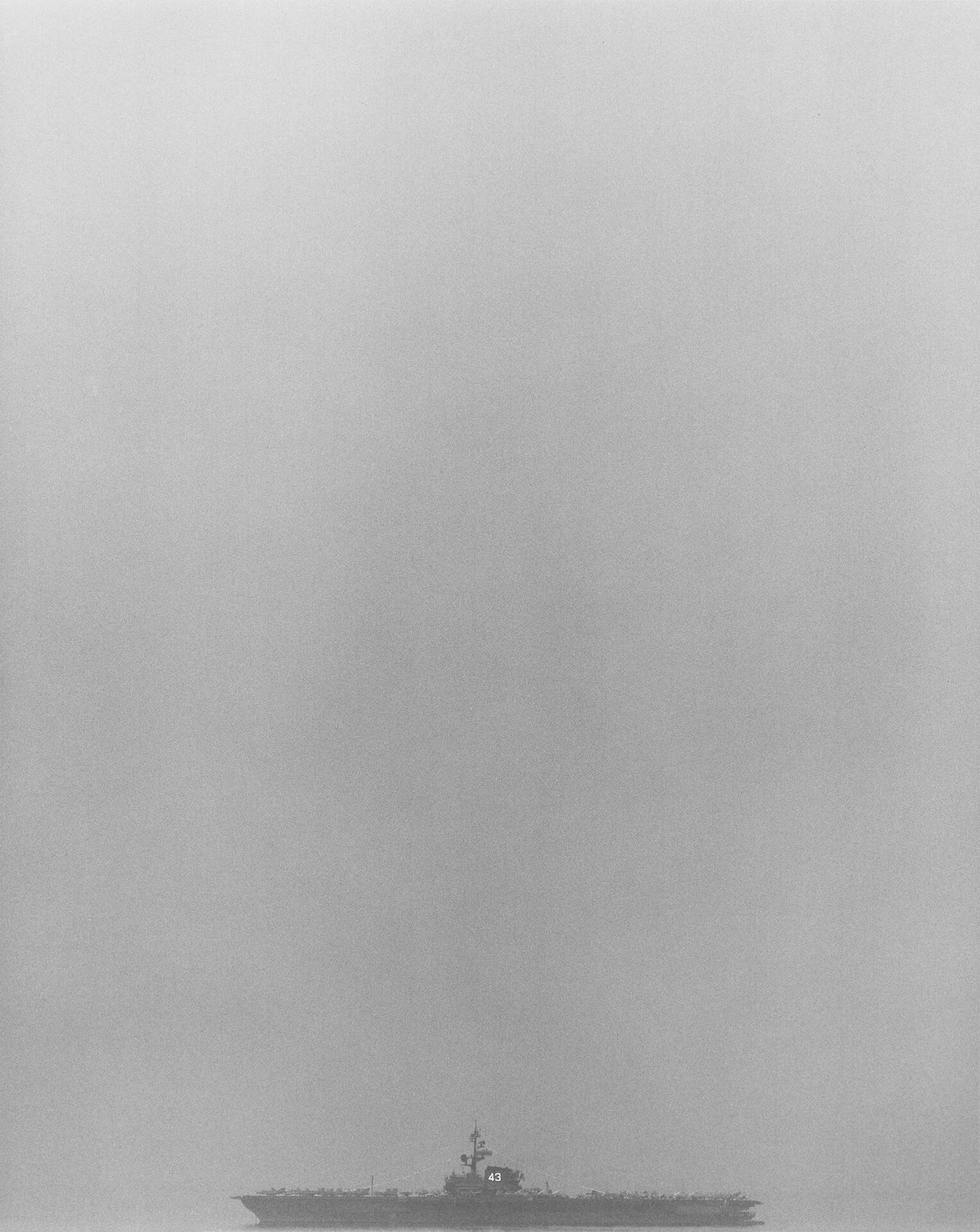 Mapplethorpe R - Coral Sea