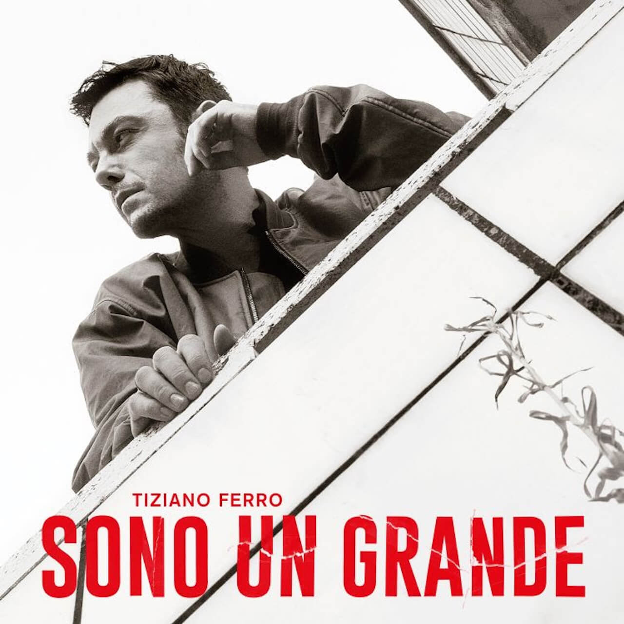 "Sono un grande" è il nuovo album di Tiziano Ferro, data d'uscita e nuovi stadi dopo il boom del tour - Sono un grande di Tiziano Ferro - Gay.it