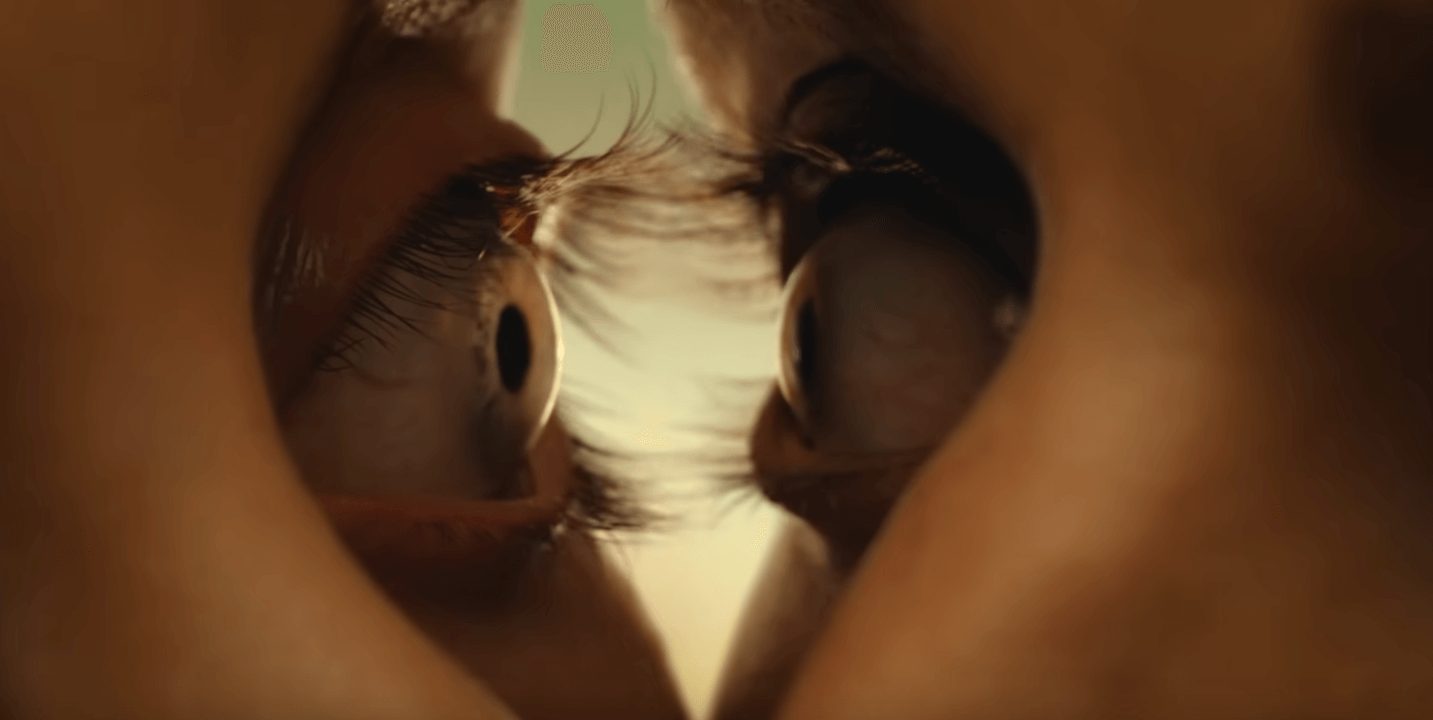 Together, la Cina censura l’horror trasformando una coppia gay in coppia etero con l’AI