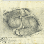Disegno erotico Opera di Nicolò D'Alessandro - Thumbnail