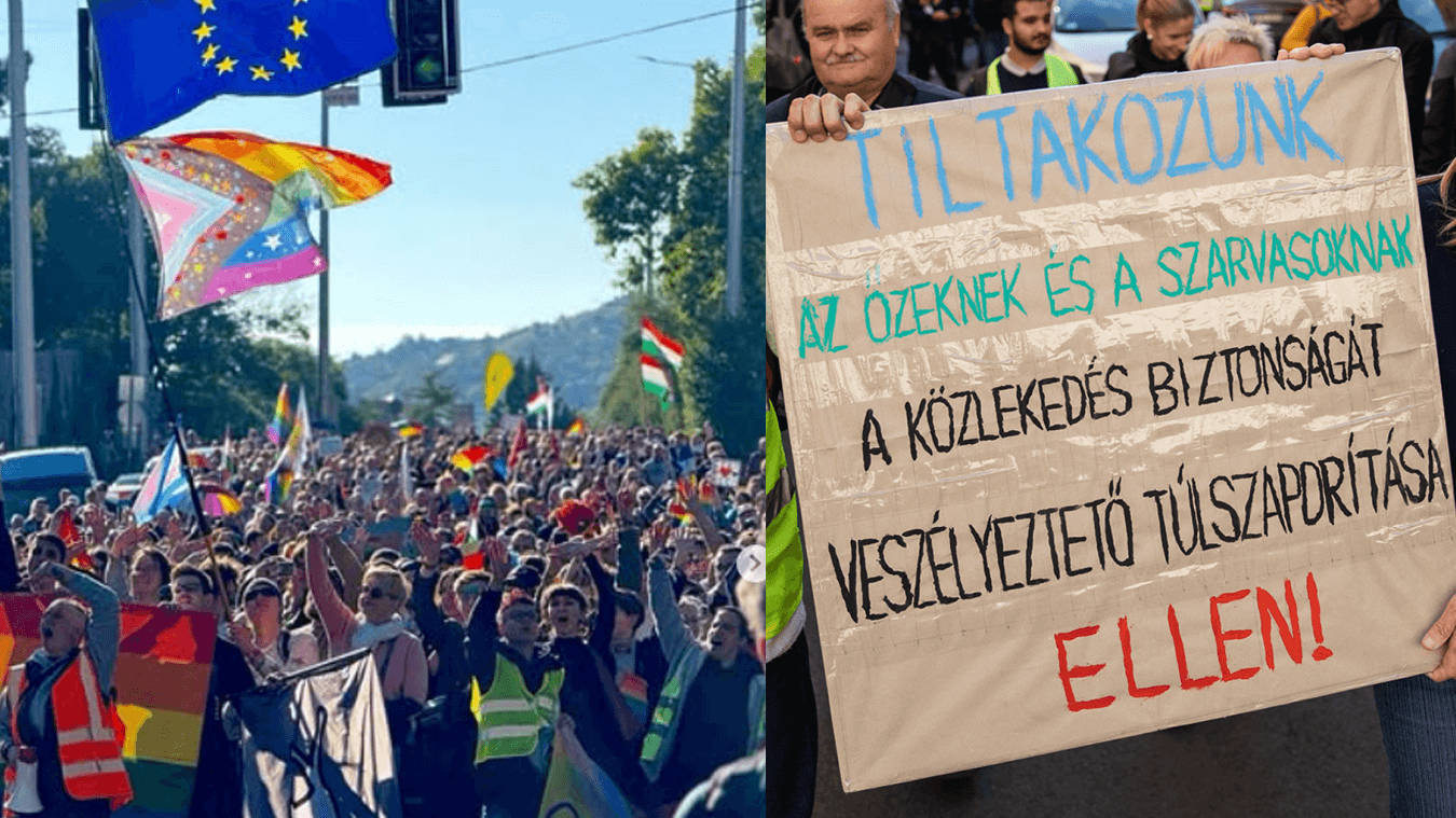 Pecs Pride, per aggirare il divieto in testa al corteo è stato portato il cartello: PROTESTIAMO CONTRO L'ECCESSIVA PERCENTUALE DI CINGHIALI BUOI E CERVI CHE METTE IN PERICOLO LA SICUREZZA DEGLI SPAZI PUBBLICI