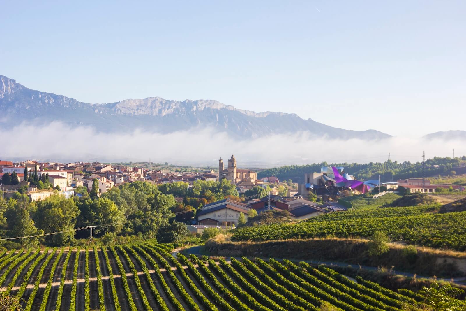 Spagna che sorprende: i Paesi Baschi tra contrasti, colori e atmosfere da vivere - Rioja Alavesa Euskadi 20231025134105 71119 - Gay.it