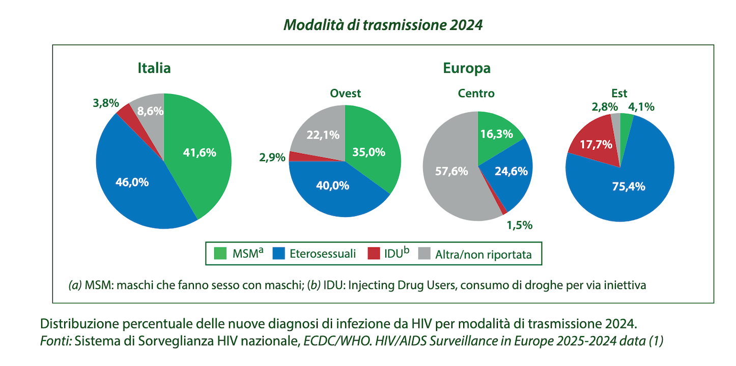 Hiv e Aids, i nuovi casi in Italia nel 2024. Diagnosi tardive, più etero che gay ma l'incidenza MsM è maggiore - HIV AIDS ITALIA 2024 - Gay.it