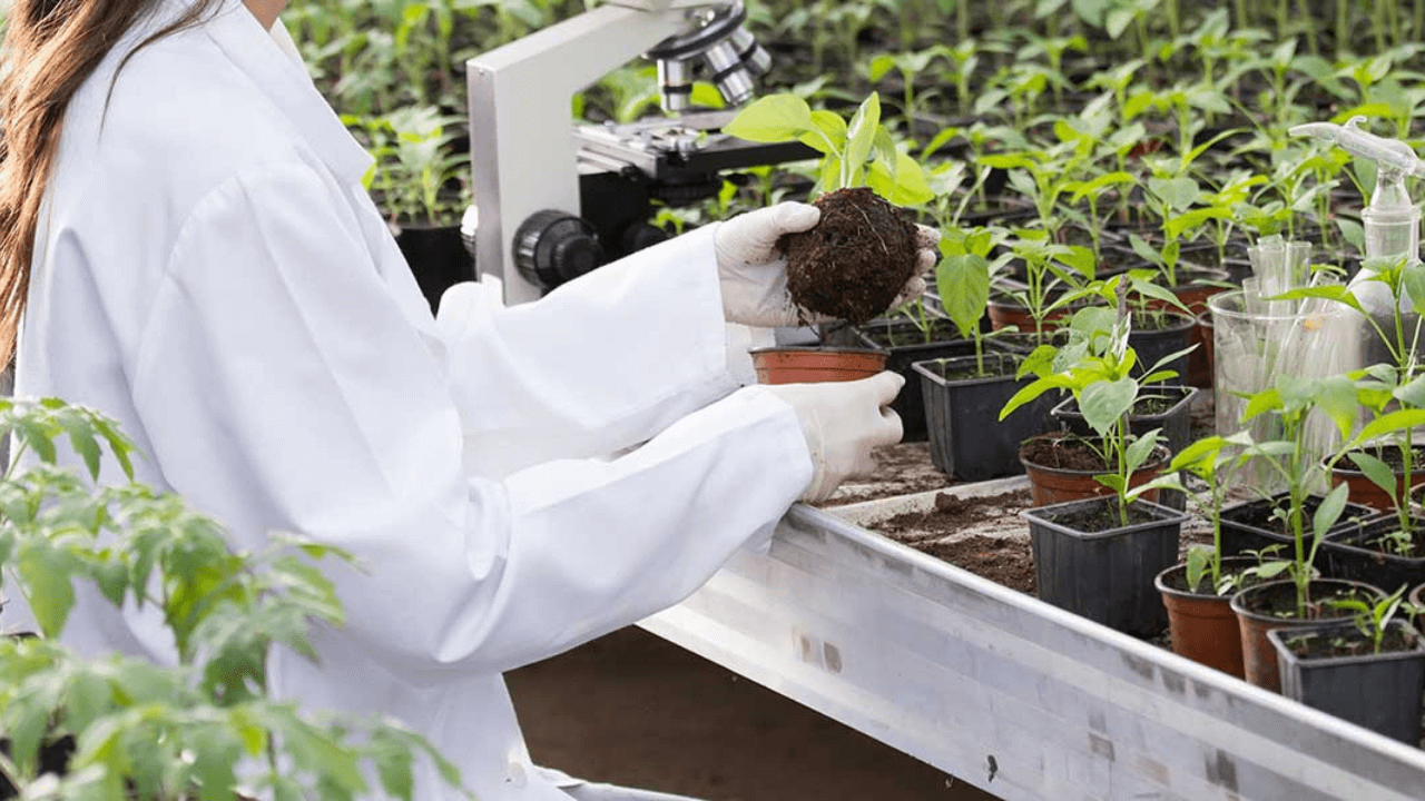Periti agrari, nuovo codice dentologico