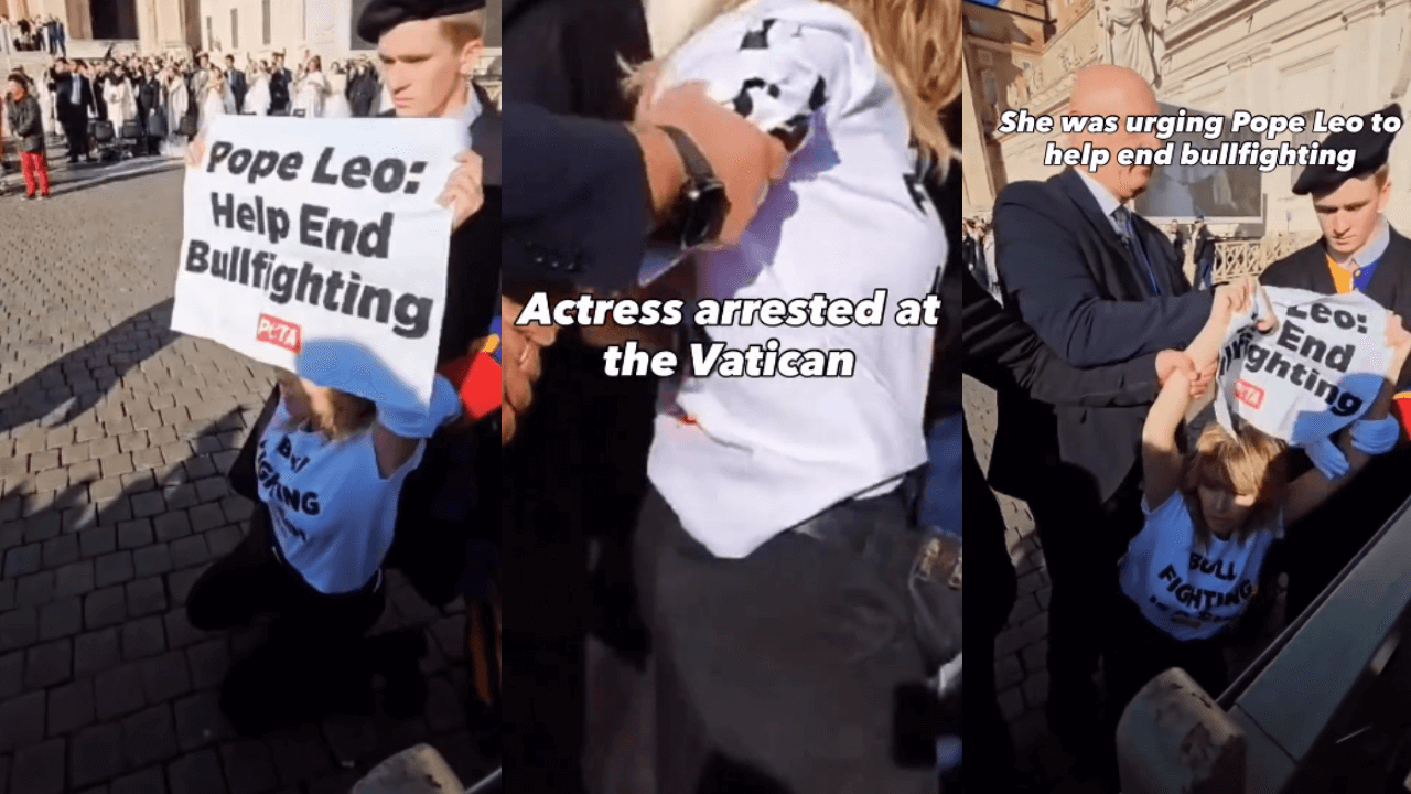 Loredana Cannata arrestata in Vaticano dopo una richiesta a Papa Leone: il gesto dell’ex concorrente dell’Isola dei Famosi – VIDEO