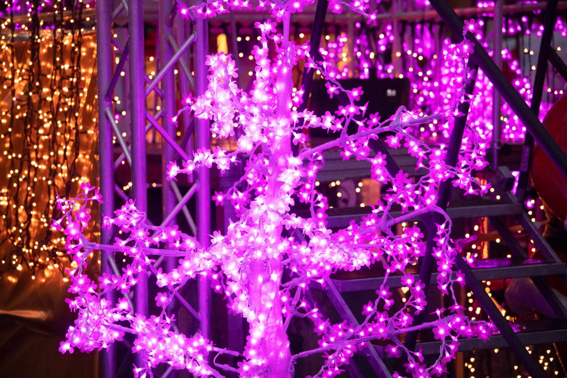 Pink Christmas a Monaco: tra vin brulé, drag show e freddo che scalda - muenchen pink christmas - Gay.it