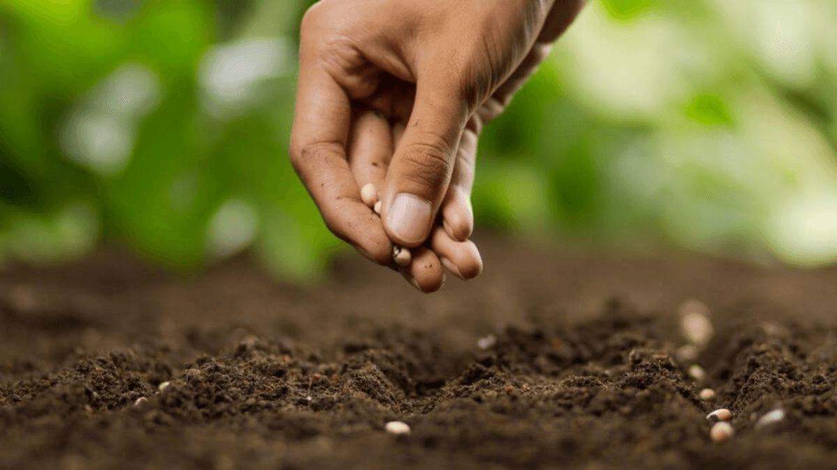 Periti Agrari, primo Ordine in Italia a vietare molestie e omofobia nel Codice Deontologico