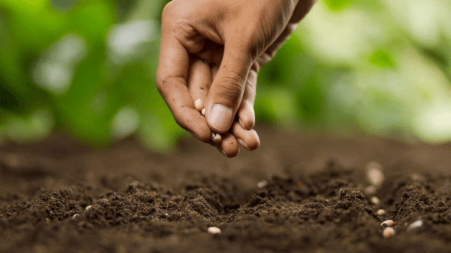 Periti agrari, nuovo codice dentologicov