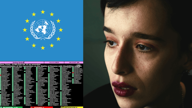 L'ONU cancella le persone LGBTI con disabilità: gli USA appoggiano la proposta dell'Egitto - Disabili LGBT Voto Onu 17 Dicembre 2025 Gay.it - Gay.it