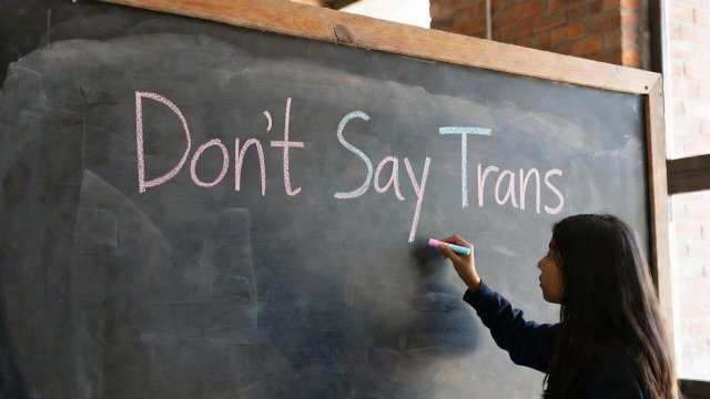 Don't Say Trans, i repubblicani USA presentano un DDL per impedire alle scuole di "promuovere il transgenderismo" - dont say trans - Gay.it