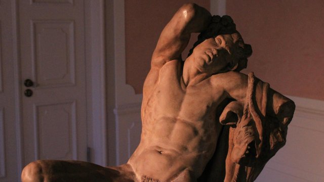 Il glande non è pelle: perché ha bisogno di una cura specifica - Il glande non e pelle Tesauro - Gay.it