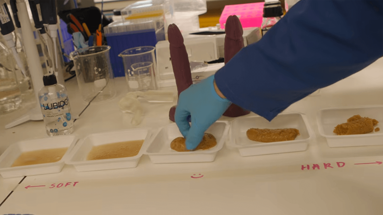 Una startup fondata da scienziati queer ha sviluppato una pallina di alghe e collagene che si inserisce durante i preliminari e si espelle naturalmente. Niente acqua, niente interruzioni, niente ansia.