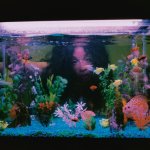 SZA Per Vans – Ph. Rosie Marks - Thumbnail