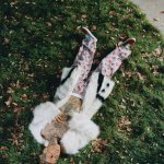 Travis Barker Per Vans – Ph. Rosie Marks - Thumbnail