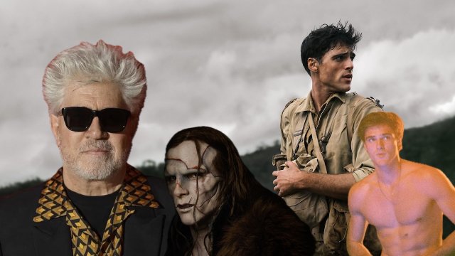 Pedro Almodovar e i dubbi su Jacob Elordi: "È un sex symbol o un attore stimato?" - Almodovar vs Elordi - Gay.it