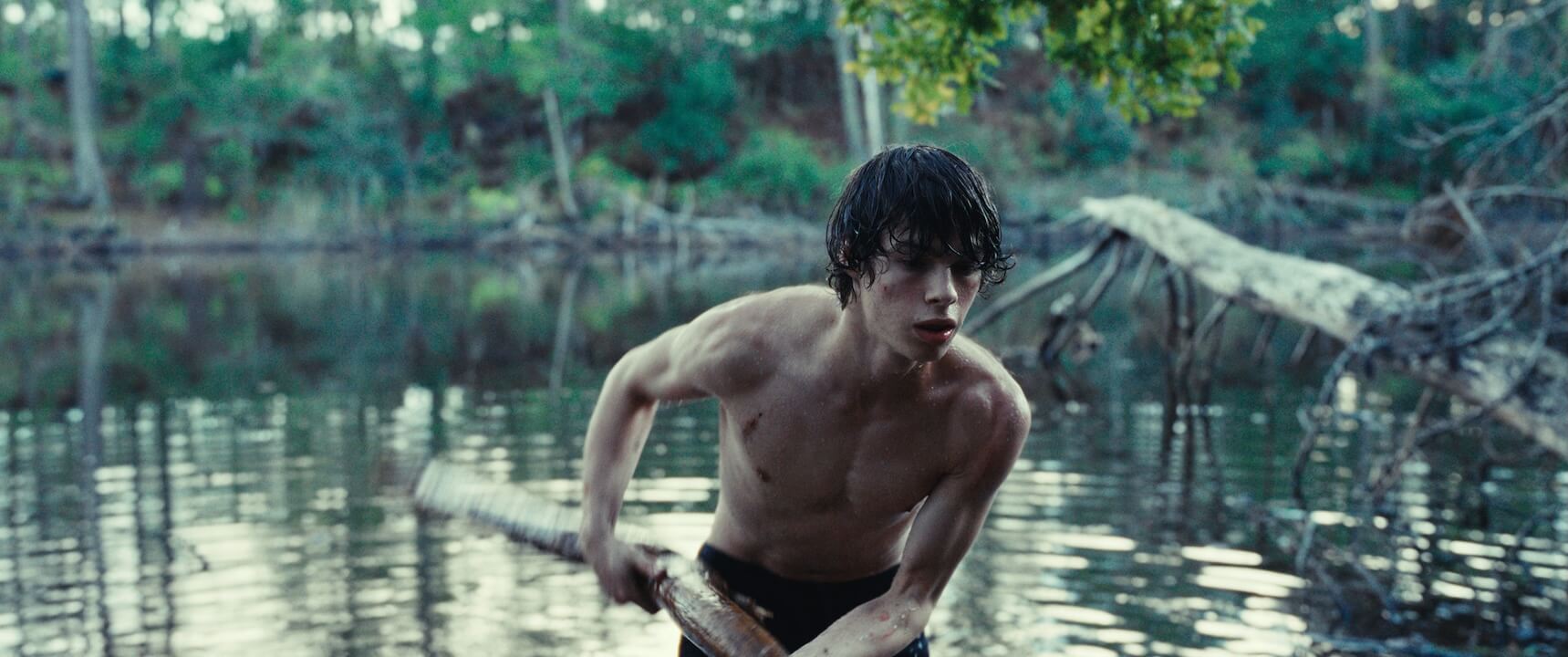 Xavier Dolan, Pierre Niney e Paul Kircher nel suo nuovo film? Sarà un horror nella Parigi dell'800 - Paul Kircher in The Animal Kingdom - Gay.it