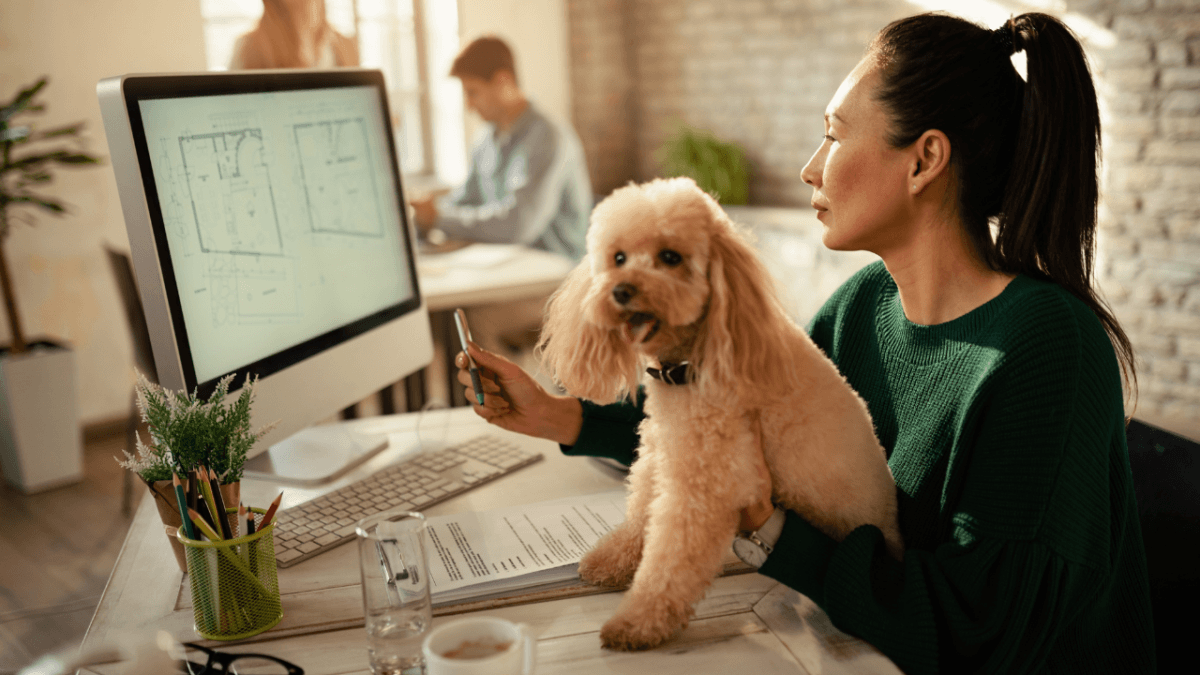 Portare il cane in ufficio funziona: l’esperimento di Corsico che migliora il lavoro e il benessere