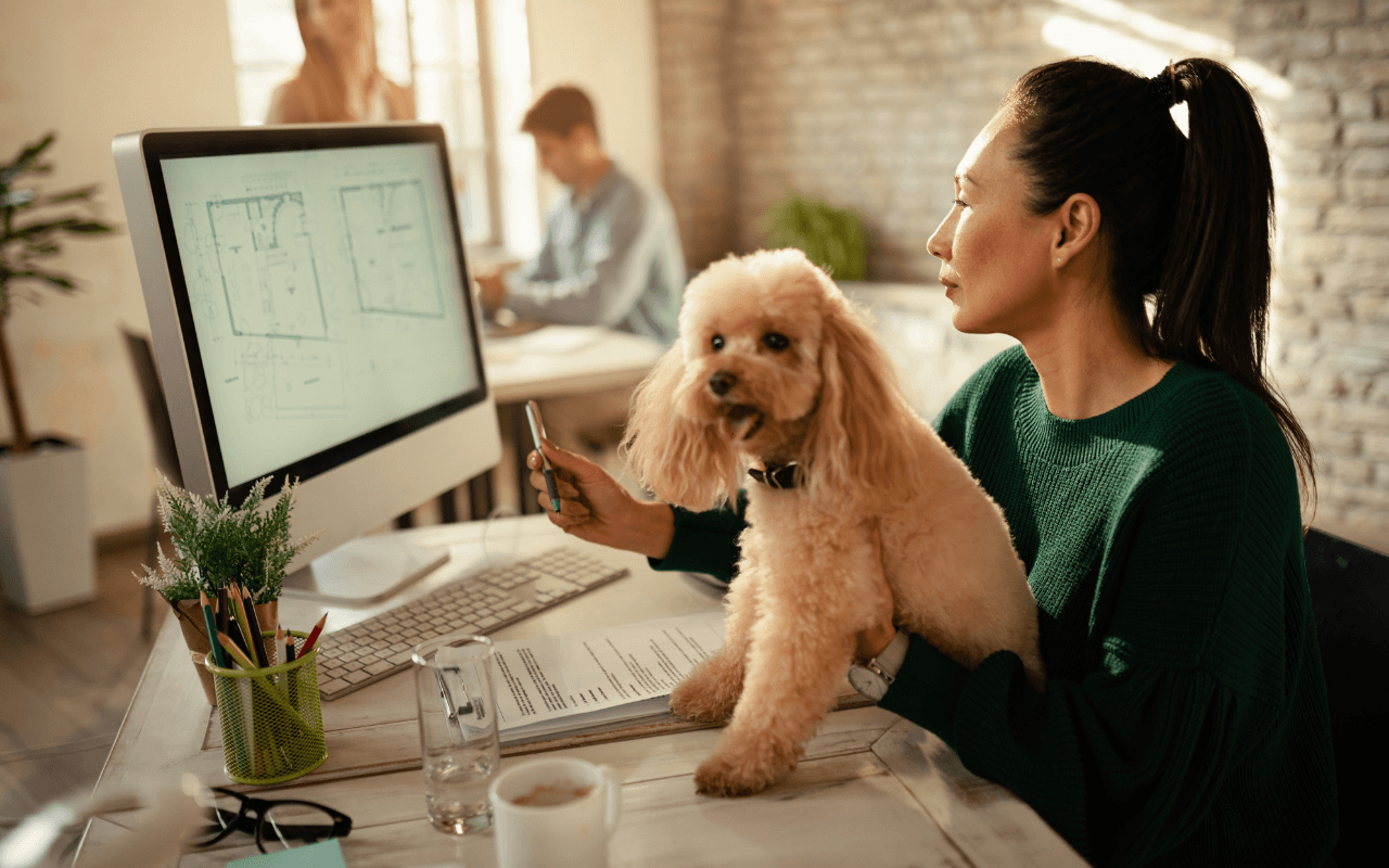 Portare il cane in ufficio funziona: l’esperimento di Corsico che migliora il lavoro e il benessere