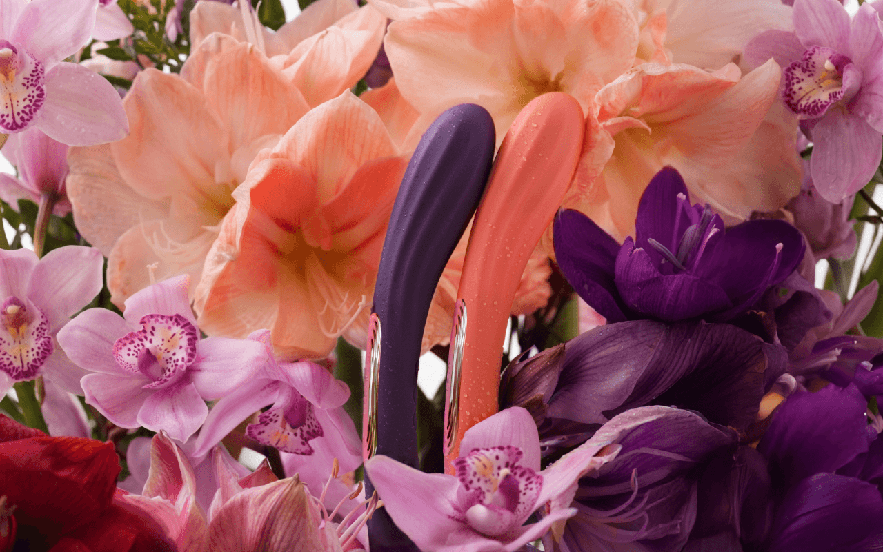 Lelo Boomerang