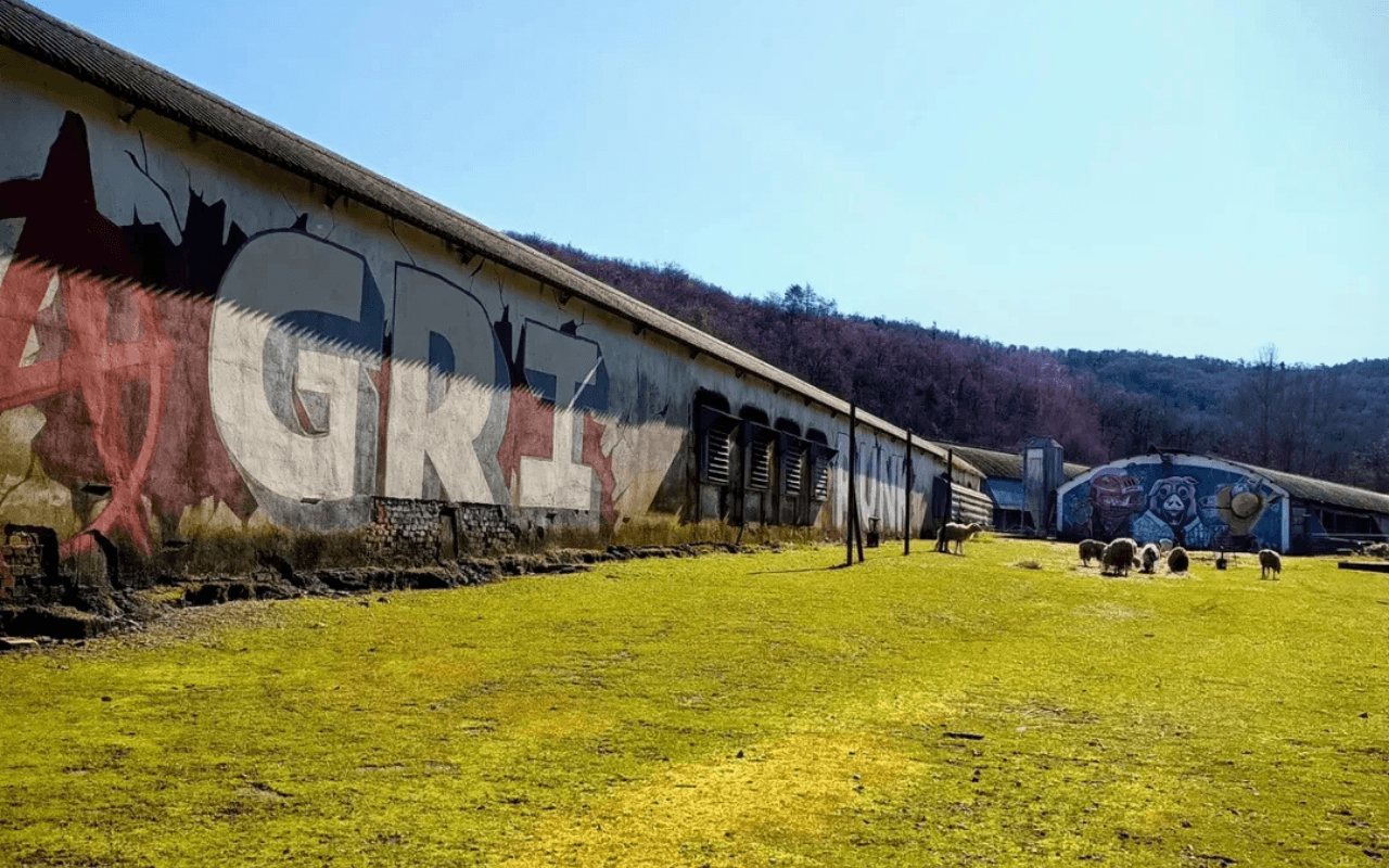 Ex allevamento intensivo diventato rifugio antispecista rischia la chiusura - Agripunk2 - Gay.it