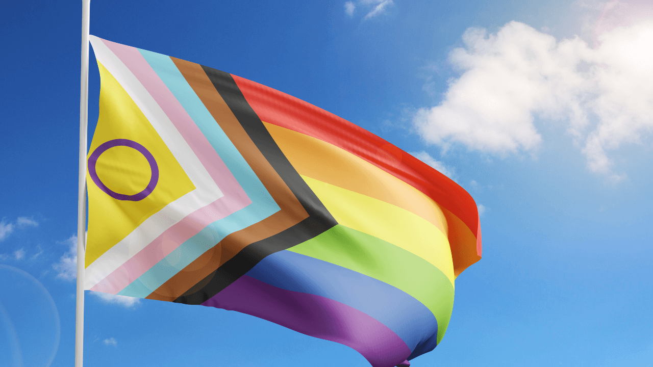 Dizionario LGBTQIA+: i termini più utilizzati dalla comunità nel 2026