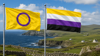 Irlanda, una legge per introdurre il riconoscimento delle persone intersessuali e non binarie
